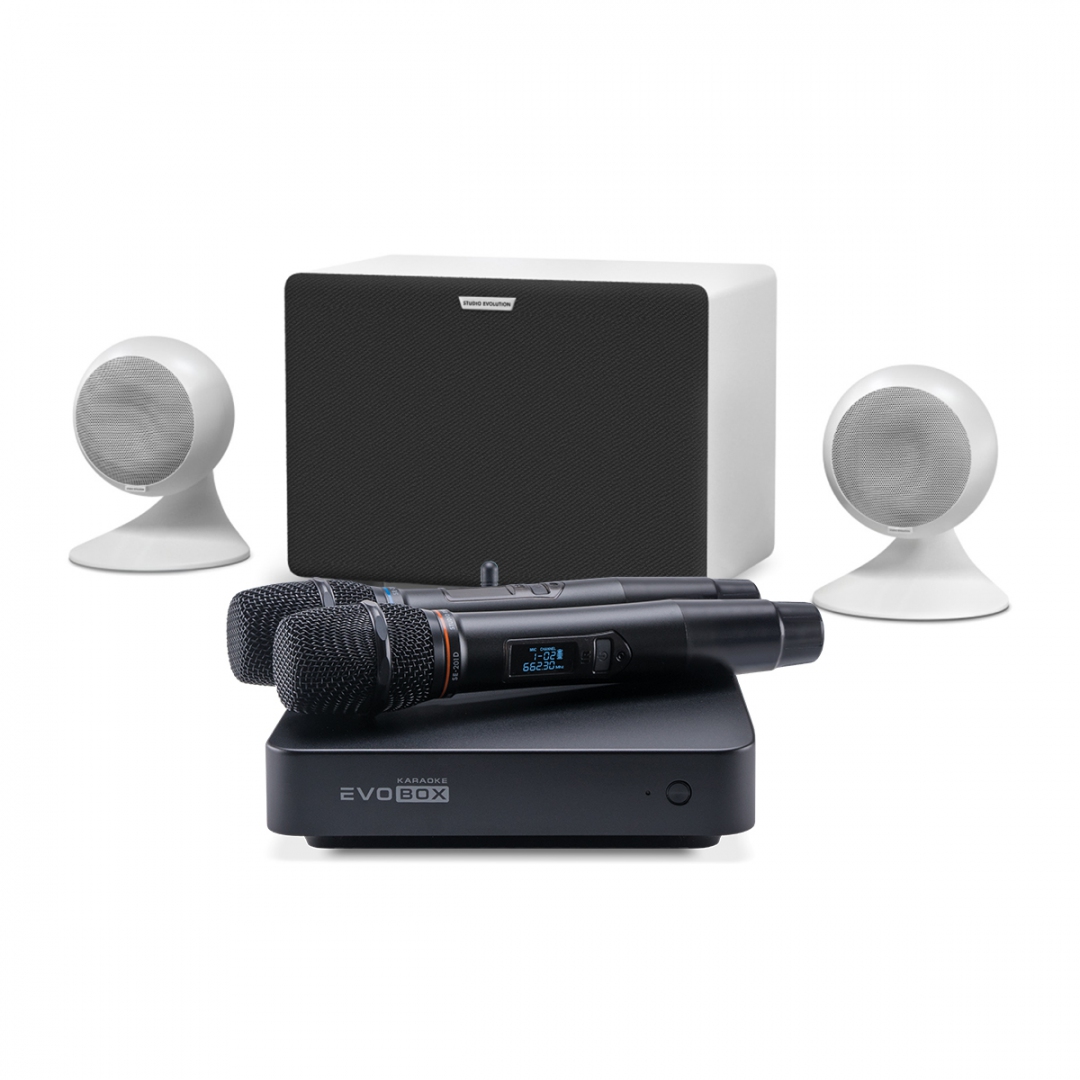караоке-комплект EVOBOX Classic + EvoSound Sphere 2.1 в Куйбышеве