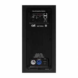 Активная акустическая система AST-310A в Куйбышеве