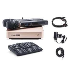 EVOBOX Classic караоке-система для дома в Куйбышеве
